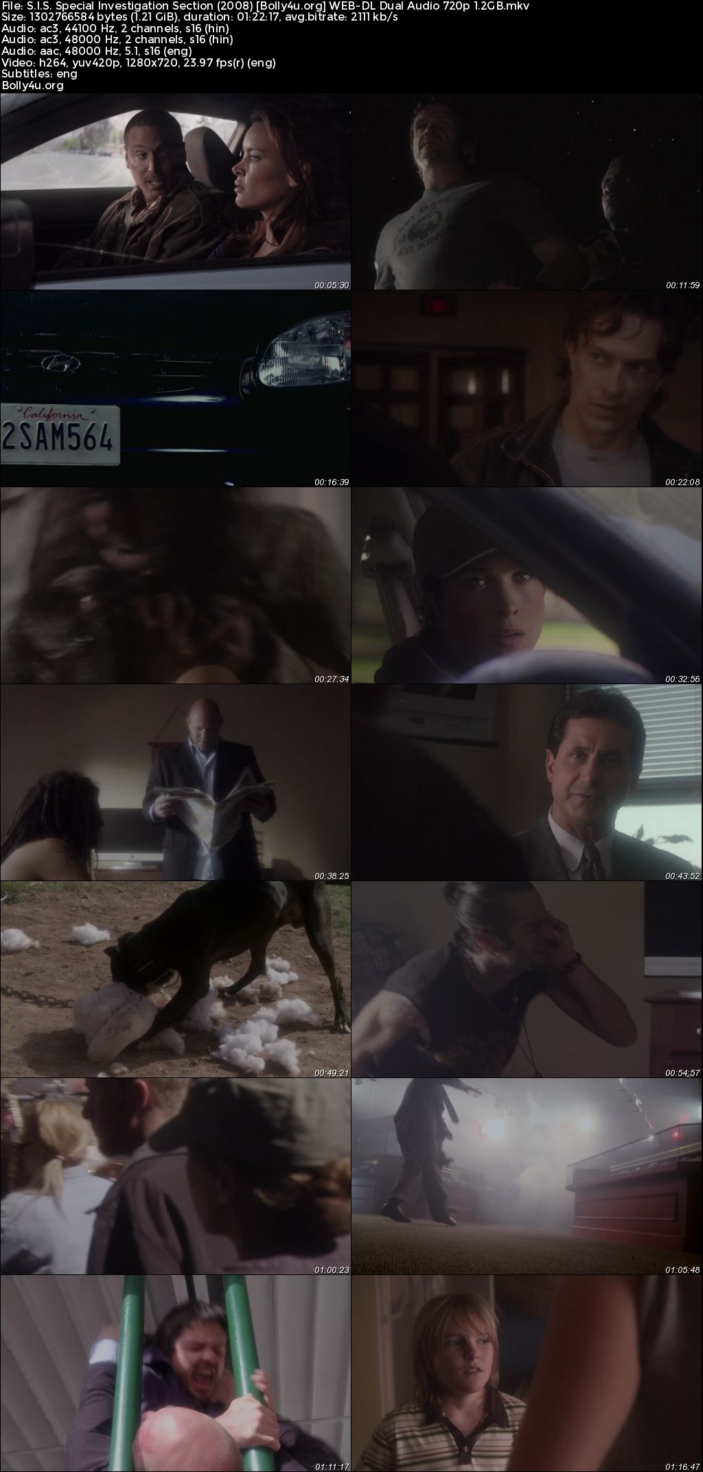 S.I.S. Special Investigation Section 2008 WEB-DL Hindi Dual Audio Full Movie Download 720p 480p