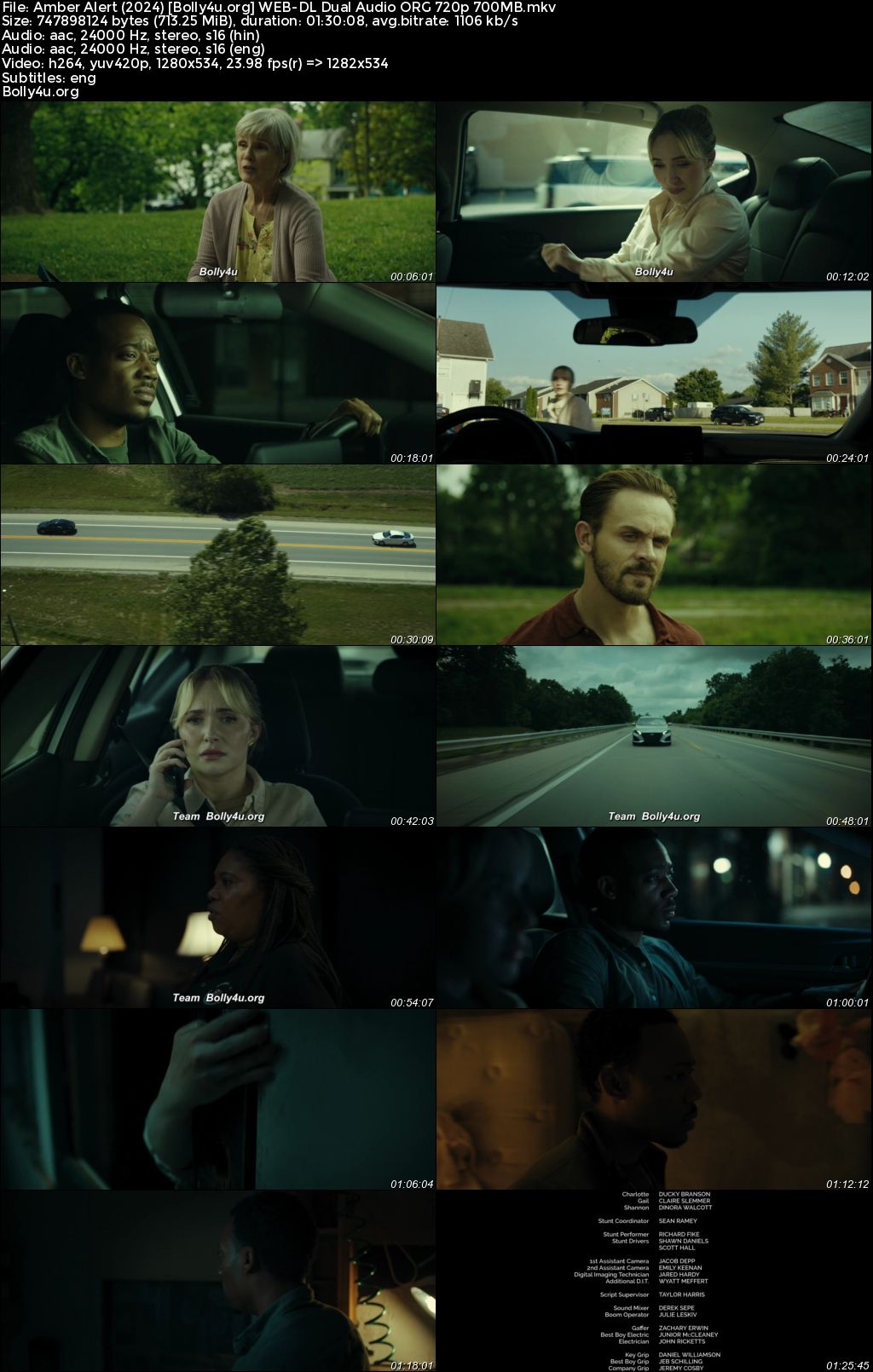 Amber Alert 2024 WEB-DL Hindi Dual Audio ORG Full Movie Download 1080p 720p 480p