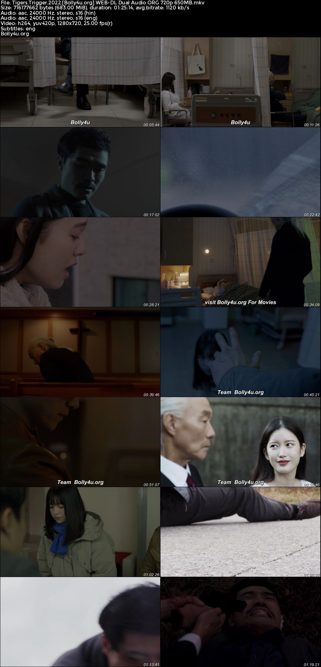 Tigers Trigger 2022 WEB-DL Hindi Dual Audio ORG Full Movie Download 1080p 720p 480p Tigers Trigger 2022 WEB-DL Hindi Dual Audio ORG Full Movie Download 1080p 720p 480p