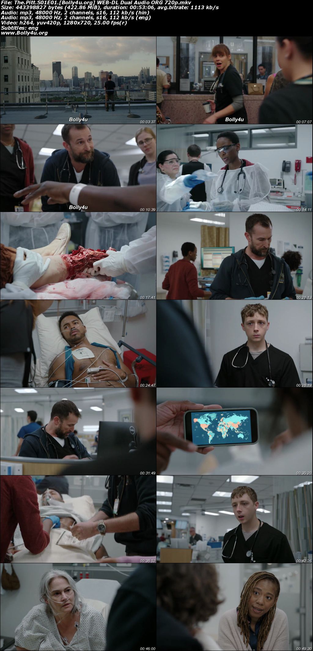 The Pitt 2024 WEB-DL Hindi Dual Audio ORG S01 Complete Download 720p