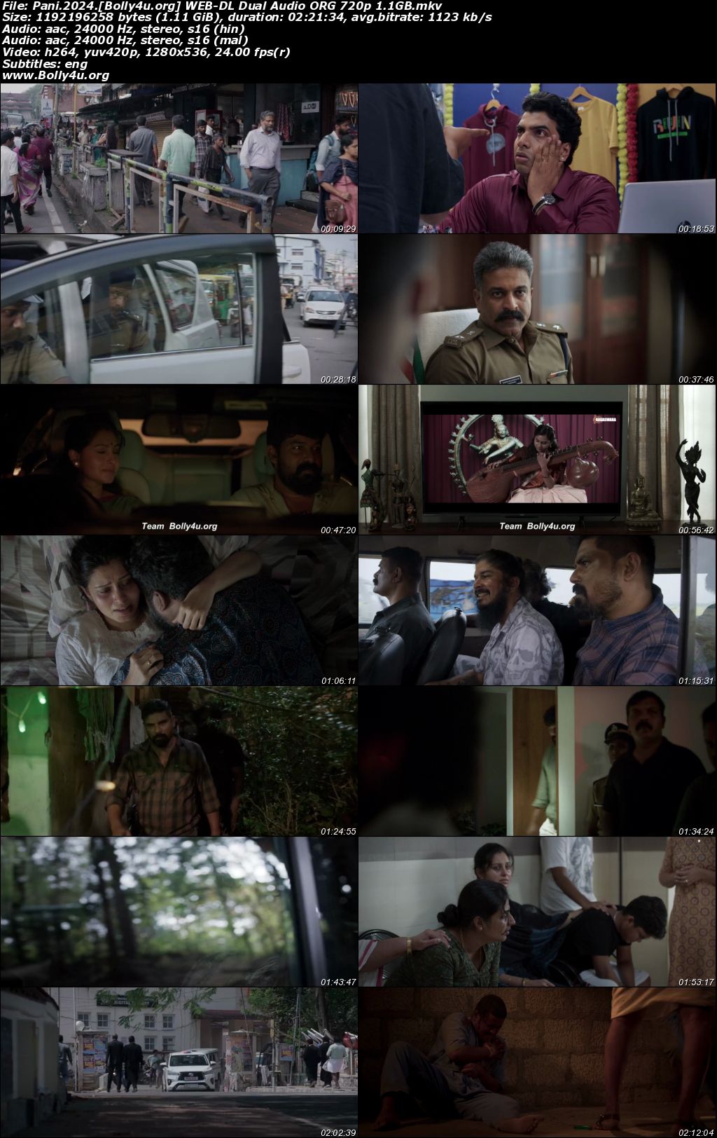 Pani 2024 WEB-DL UNCUT Hindi Dual Audio ORG Full Movie Download 1080p 720p 480p