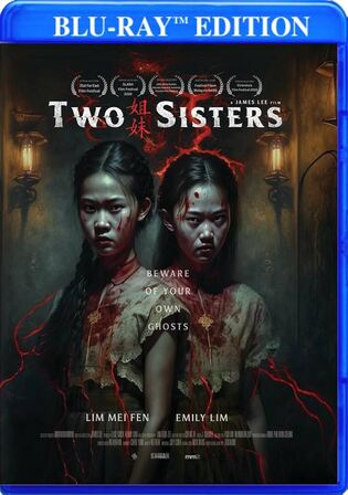 Two Sisters 2019 WEB-DL Hindi Dual Audio Full Movie Download 720p 480p