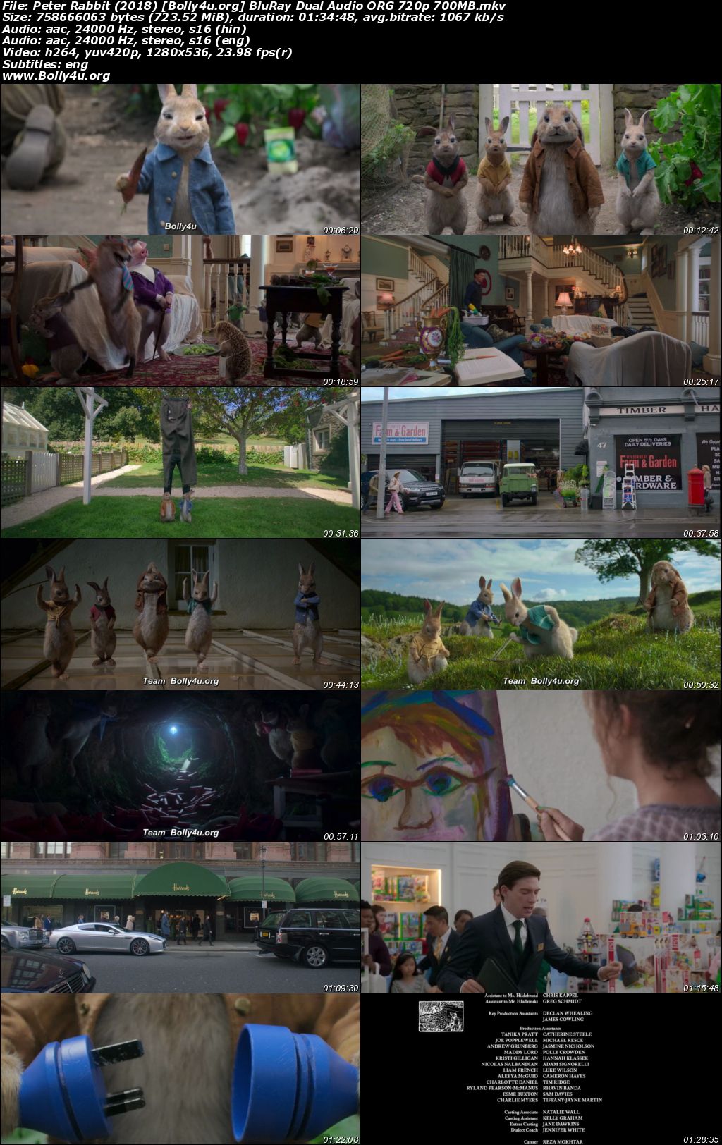 Peter Rabbit 2018 BluRay Hindi Dual Audio ORG Full Movie Download 1080p 720p 480p