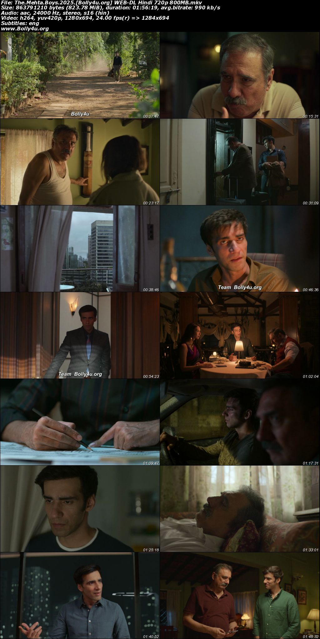 The Mehta Boys 2025 WEB-DL Hindi Full Movie Download 1080p 720p 480p