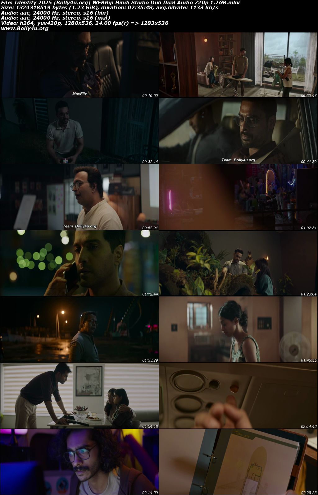 Identity 2025 WEBRip Hindi Studio Dub Dual Audio Full Movie Download 1080p 720p 480p