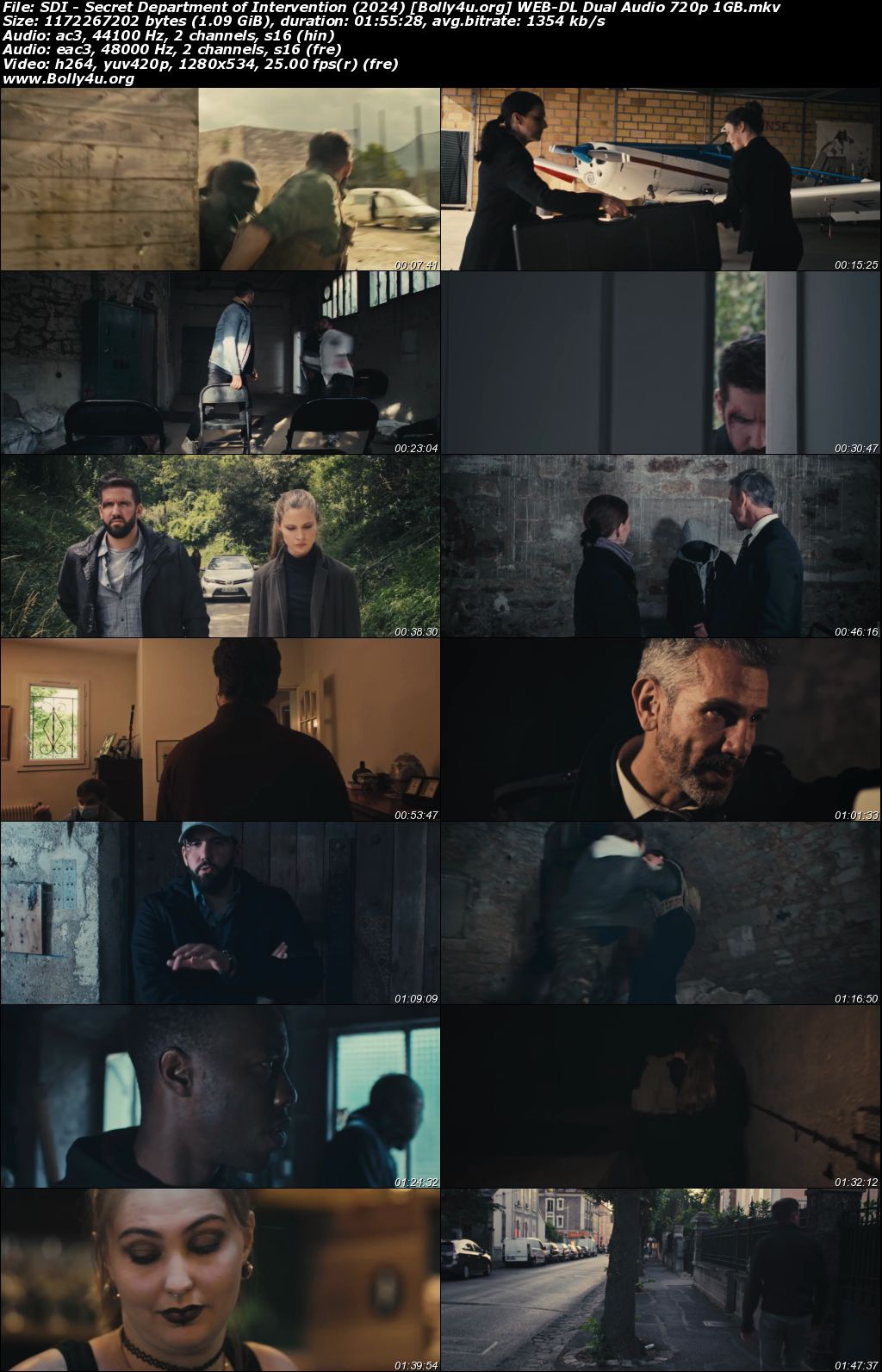 SDI Secret Department of Intervention 2024 WEB-DL Hindi Dual Audio Full Movie Download 720p 480p