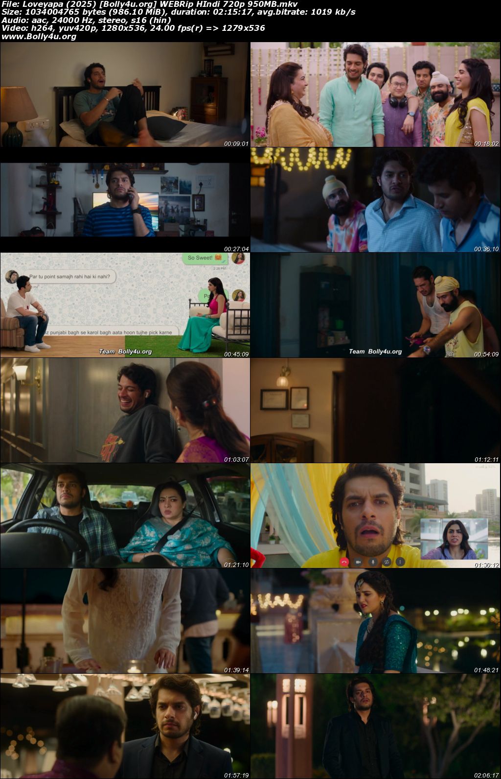 Loveyapa 2025 WEBRip Hindi Full Movie Download 1080p 720p 480p