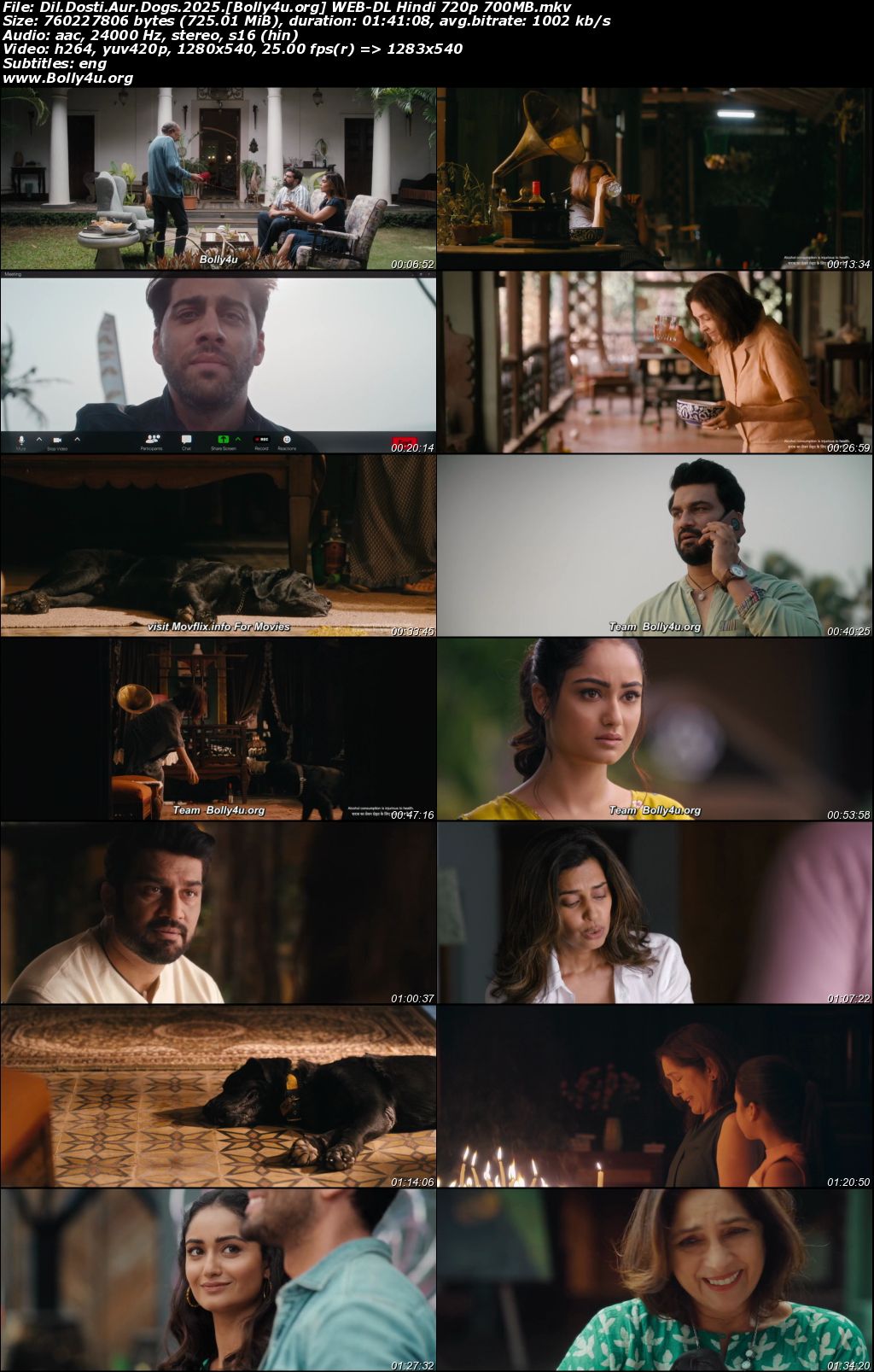 Dil Dosti Aur Dogs 2025 WEB-DL Hindi Full Movie Download 1080p 720p 480p