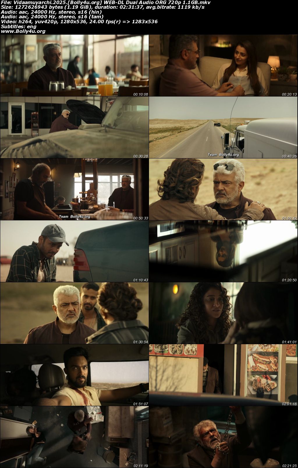 Vidaamuyarchi 2025 WEB-DL UNCUT Hindi Dual Audio ORG Full Movie Download 1080p 720p 480p