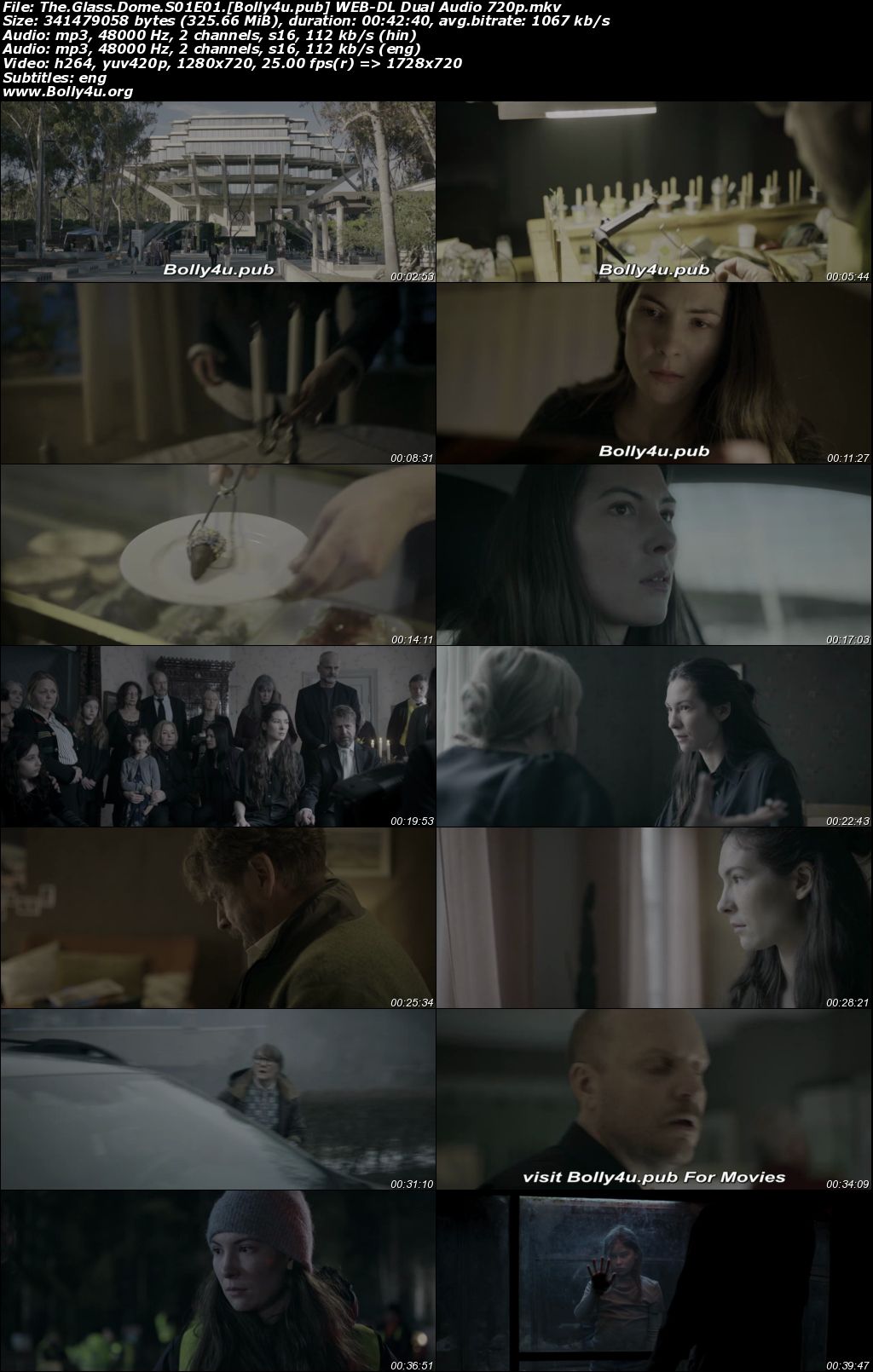 The Glass Dome 2025 WEB-DL Hindi Dual Audio ORG S01 Complete Download 720p 480p