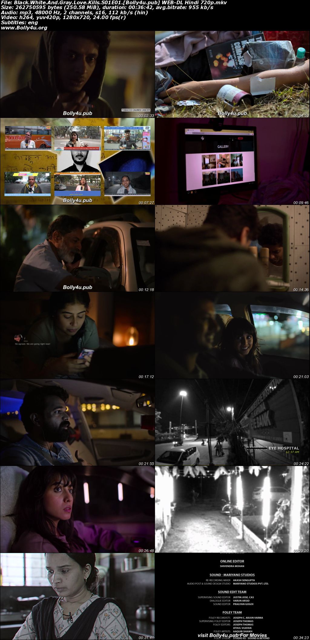 Black White And Gray Love Kills 2025 WEB-DL Hindi S01 Complete Download 720p 480p