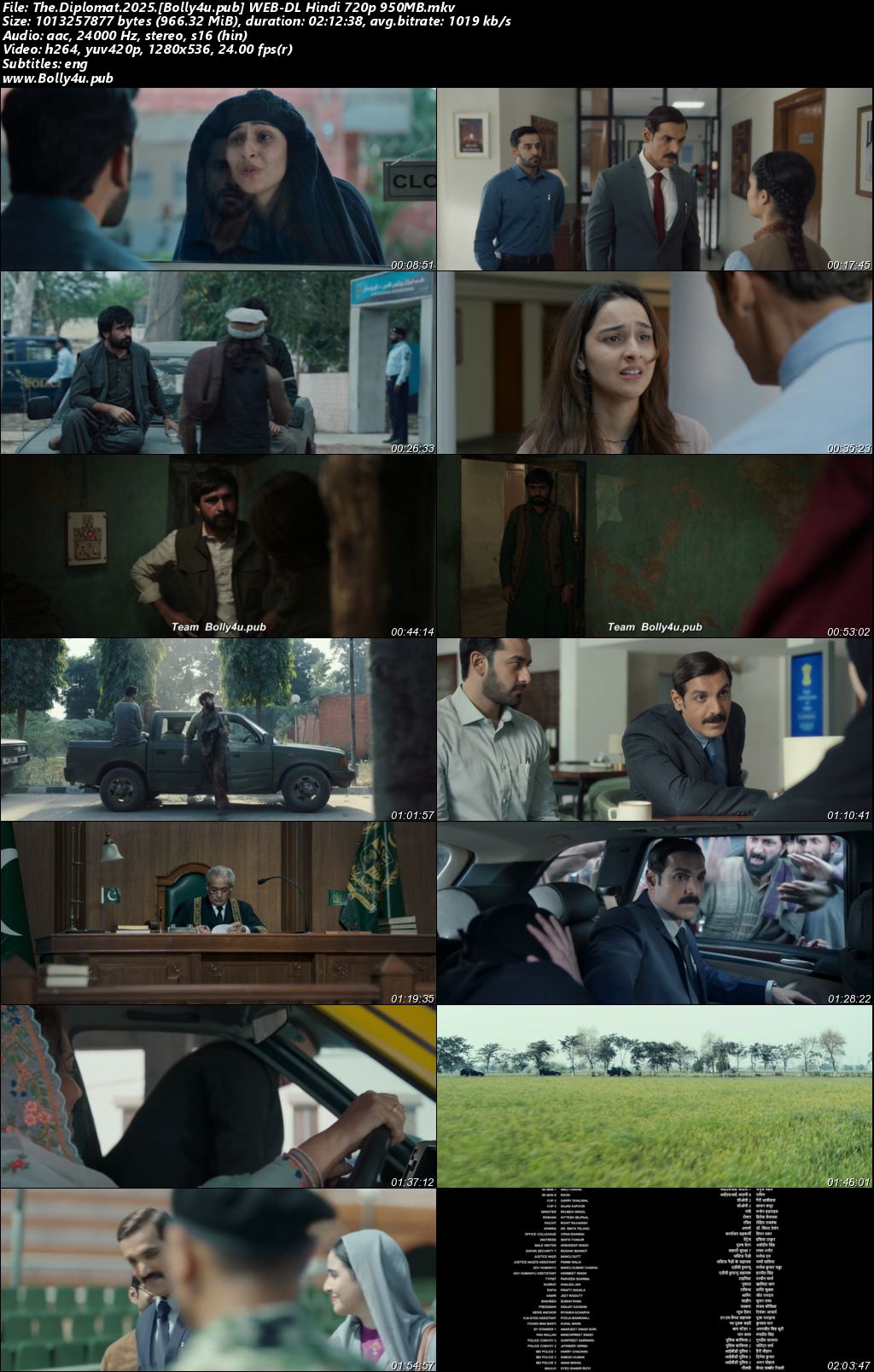 Diplomat 2025 WEB-DL Hindi Full Movie Download 1080p 720p 480p
