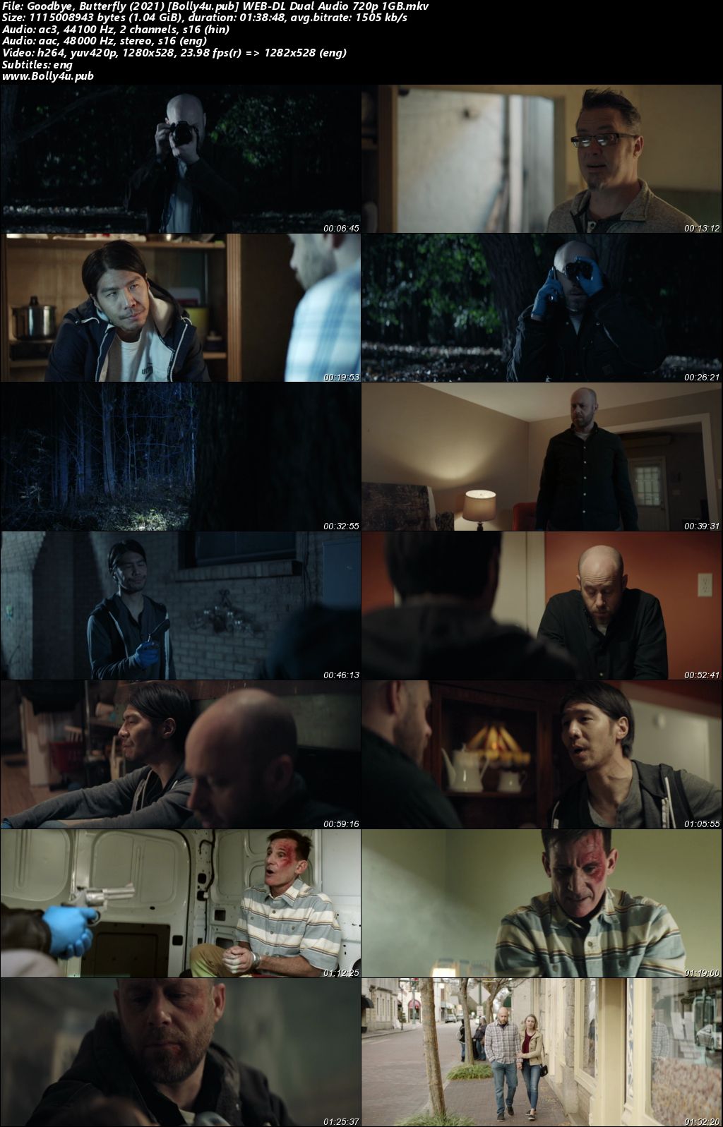 Goodbye Butterfly 2021 WEB-DL Hindi Dual Audio Full Movie Download 720p 480p