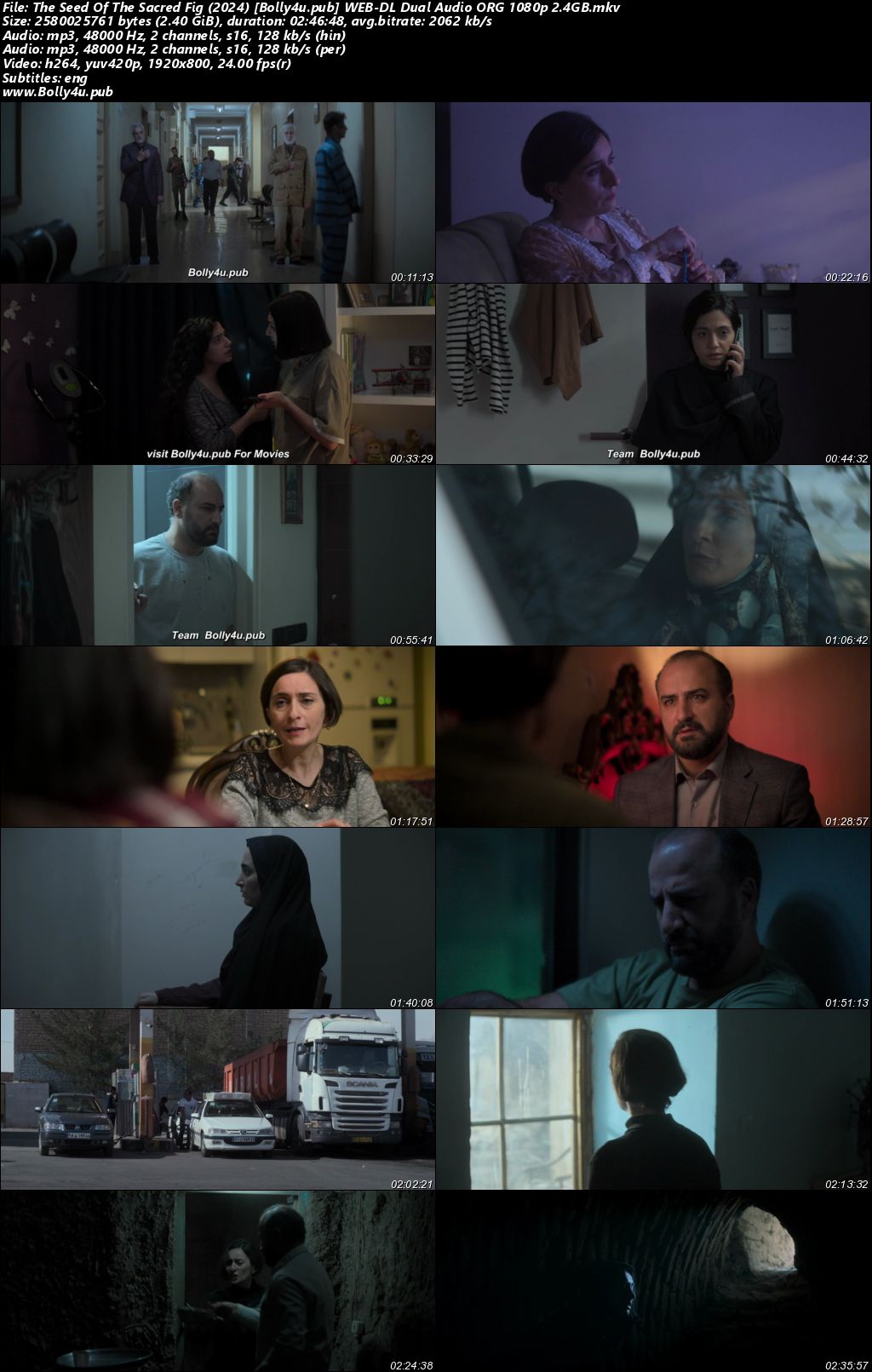 The Seed Of The Sacred Fig 2024 WEB-DL Hindi Dual Audio ORG Full Movie Download 1080p 720p 480p