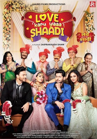 Love Karu Yaaa Shaadi 2025 HDTC Hindi Full Movie Download 1080p 720p 480p