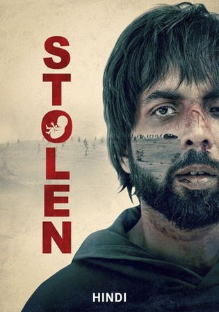 Stolen 2025 WEB-DL Hindi Full Movie Download 1080p 720p 480p