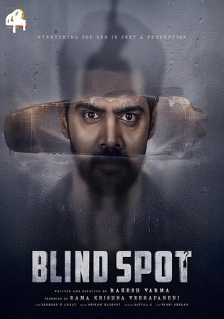 Blind Spot 2025 WEB-DL Hindi Dual Audio ORG Full Movie Download 1080p 720p 480p
