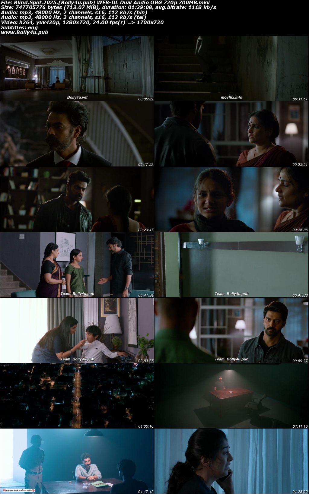 Blind Spot 2025 WEB-DL Hindi Dual Audio ORG Full Movie Download 1080p 720p 480p