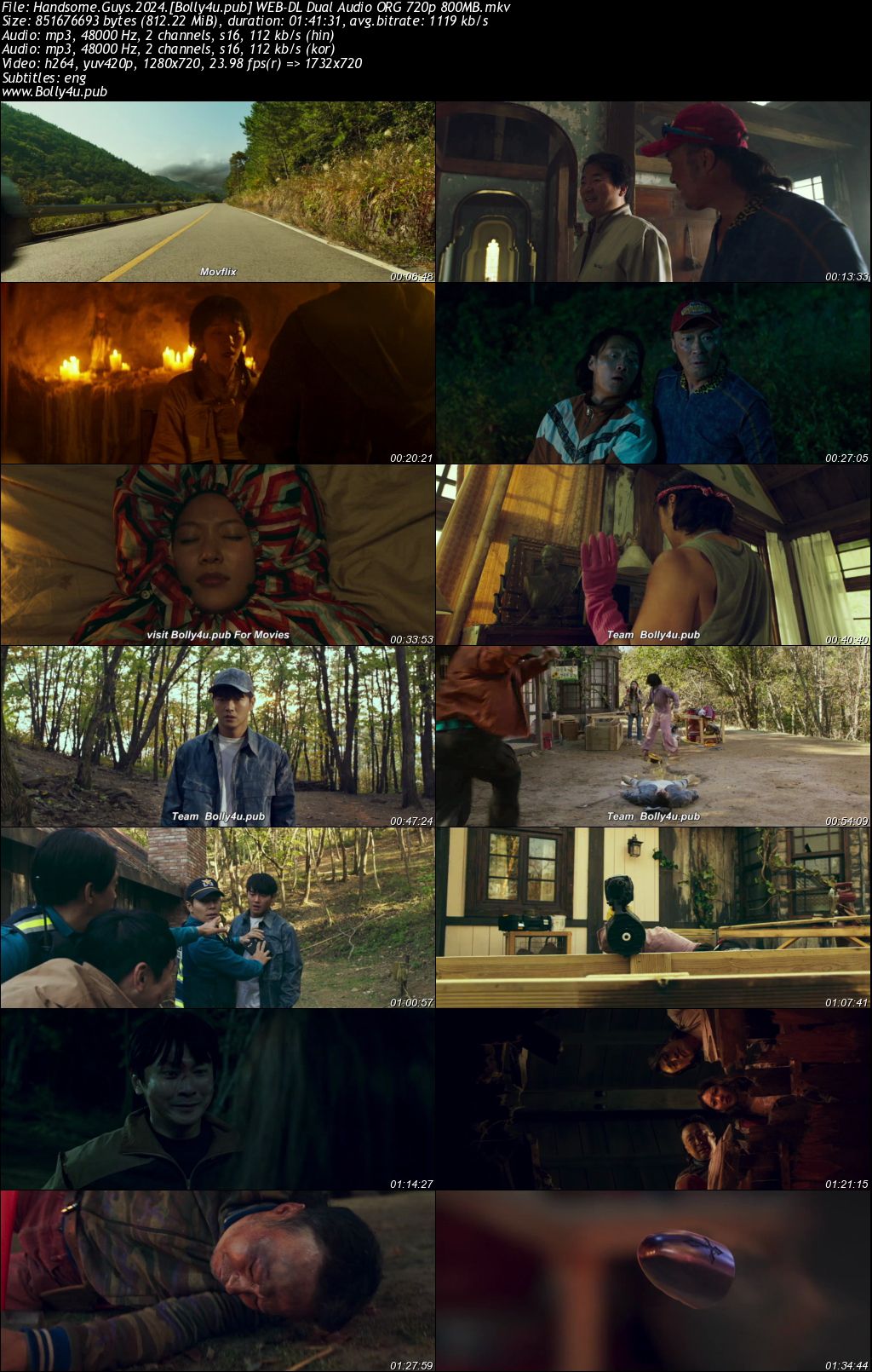 Handsome Guys 2024 WEB-DL Hindi Dual Audio ORG Full Movie Download 1080p 720p 480p