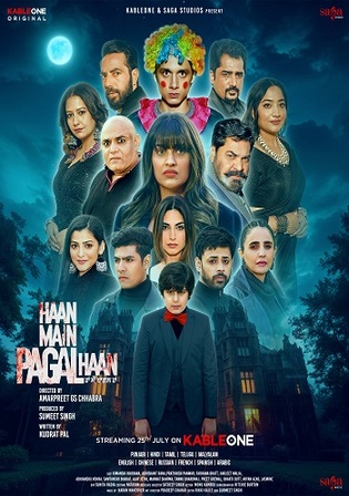 Haan Main Pagal Haan 2025 WEB-DL Punjabi Full Movie Download 1080p 720p 480p