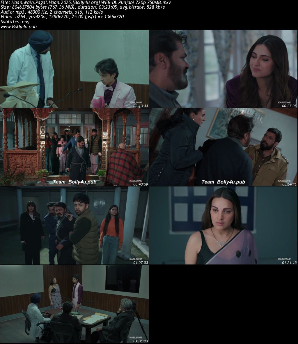 Haan Main Pagal Haan 2025 WEB-DL Punjabi Full Movie Download 1080p 720p 480p