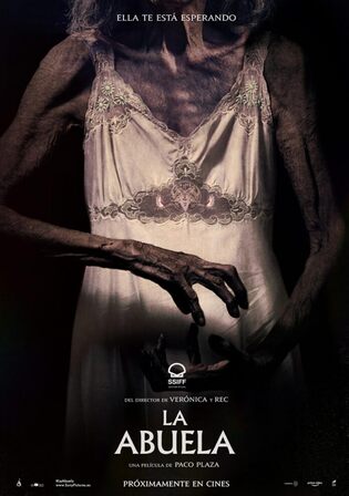 The Grandmother 2021 BluRay Hindi Dual Audio Full Movie Download 720p 480p
