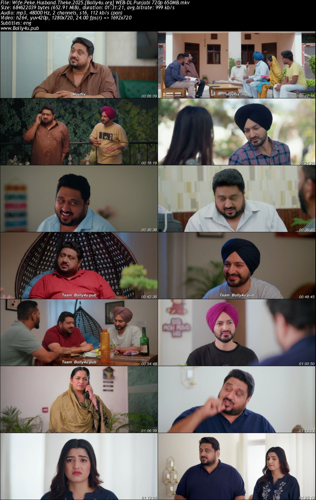 Wife Peke Husband Theke 2025 WEB-DL Punjabi Full Movie Download 1080p 720p 480p