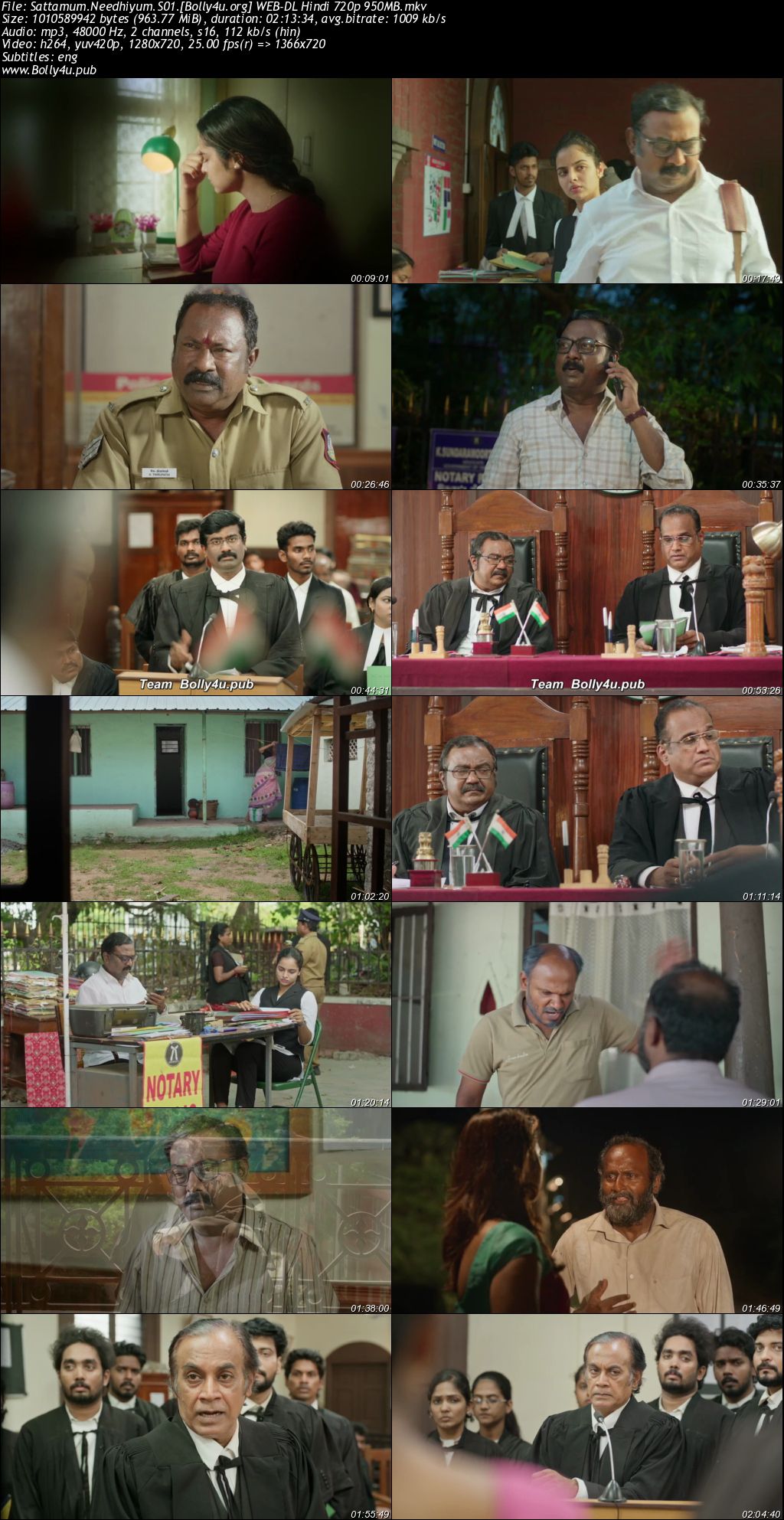 Sattamum Needhiyum 2025 WEB-DL Hindi S01 Complete Download 720p 480p