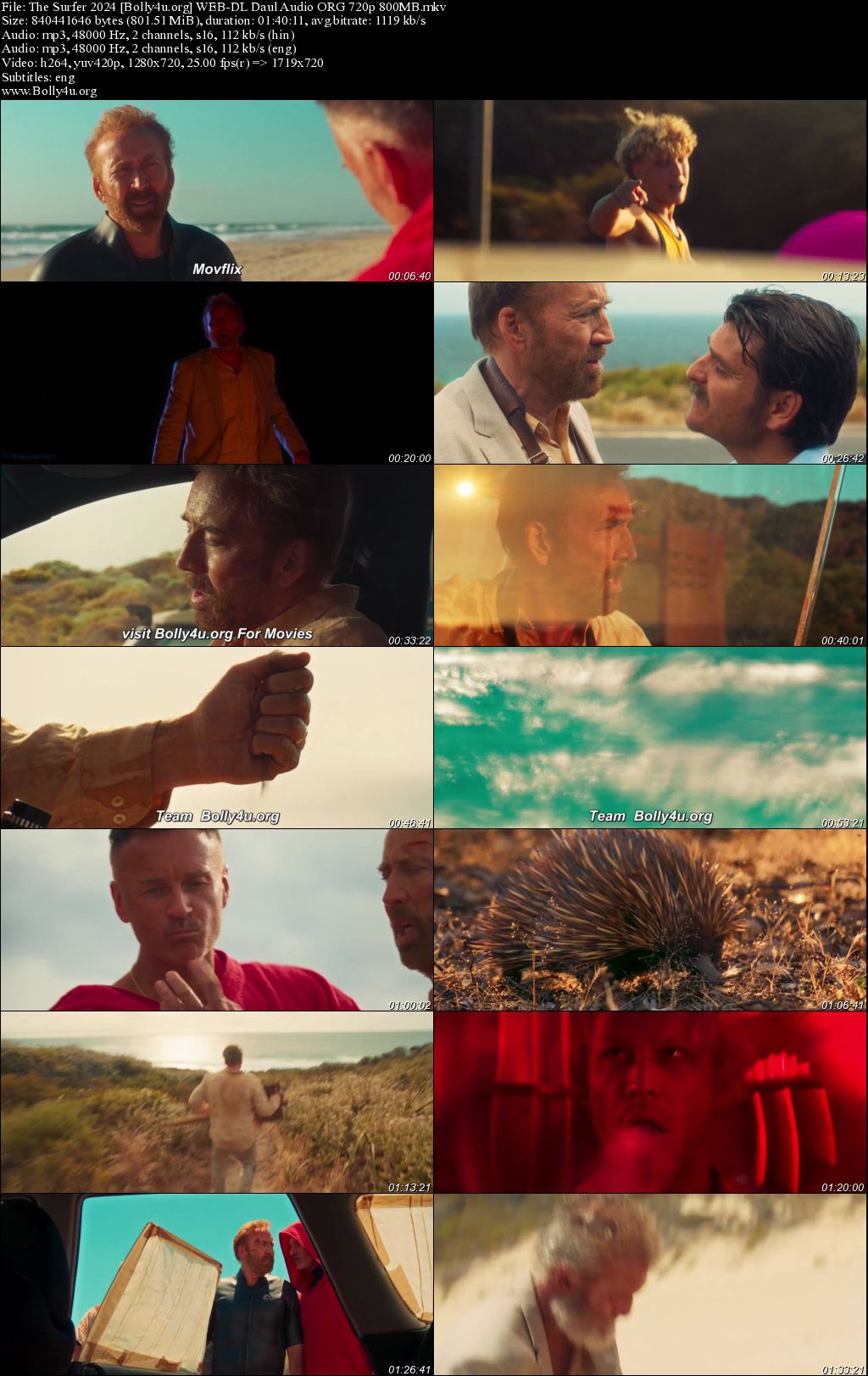 The Surfer 2024 WEB-DL Hindi Dual Audio ORG Full Movie Download 1080p 720p 480p