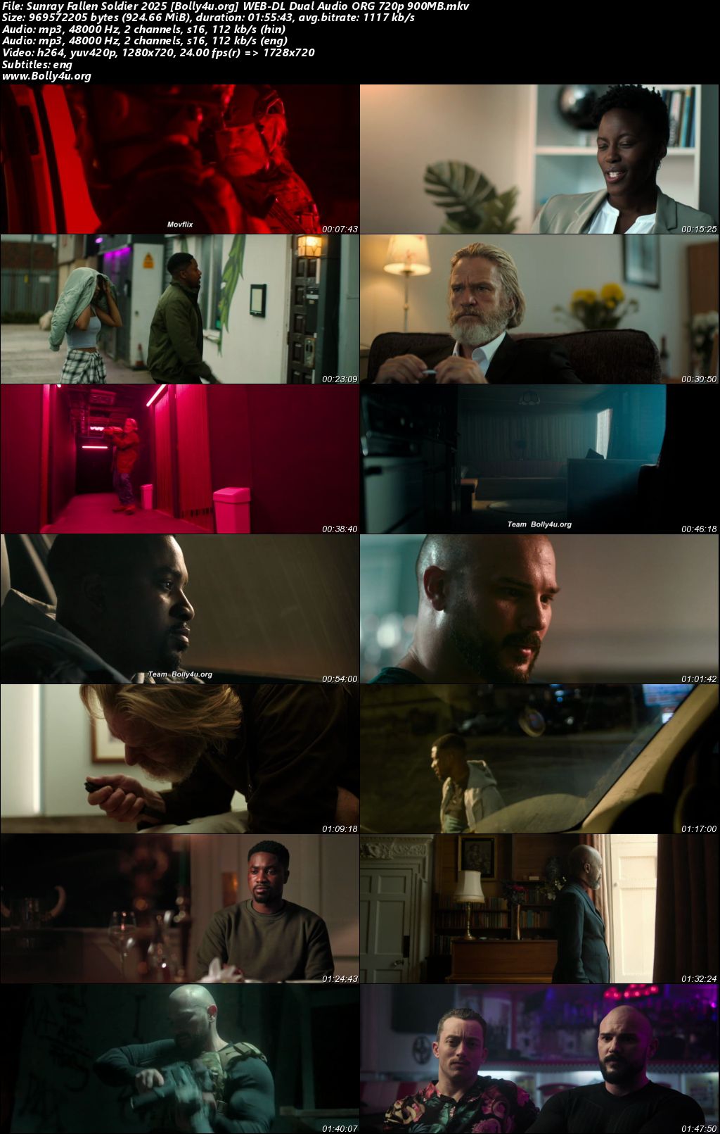 Sunray Fallen Soldier 2025 WEB-DL Hindi Dual Audio ORG Full Movie Download 1080p 720p 480p