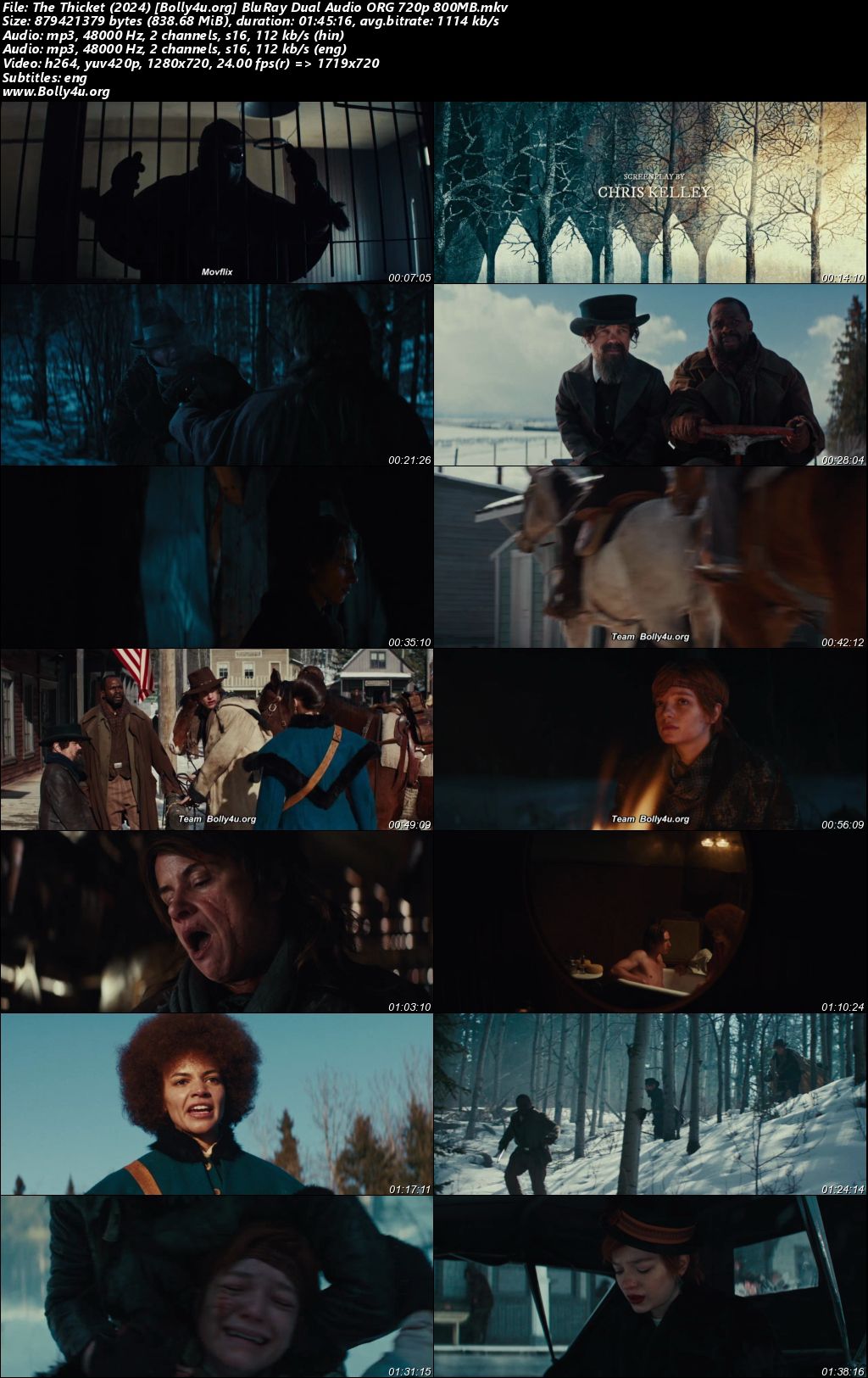 The Thicket 2024 BluRay Hindi Dual Audio ORG Full Movie Download 1080p 720p 480p