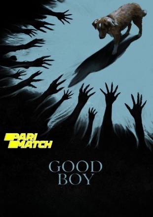 Good Boy