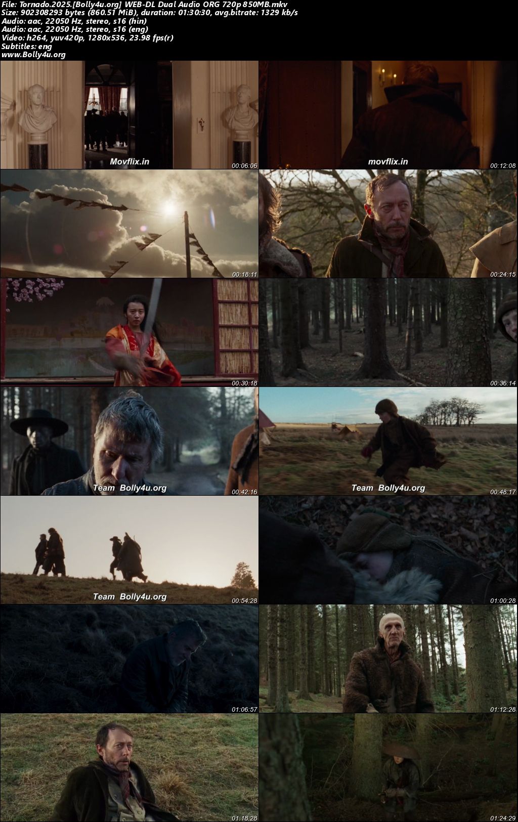 Tornado 2025 WEB-DL Hindi Dual Audio ORG Full Movie Download 1080p 720p 480p