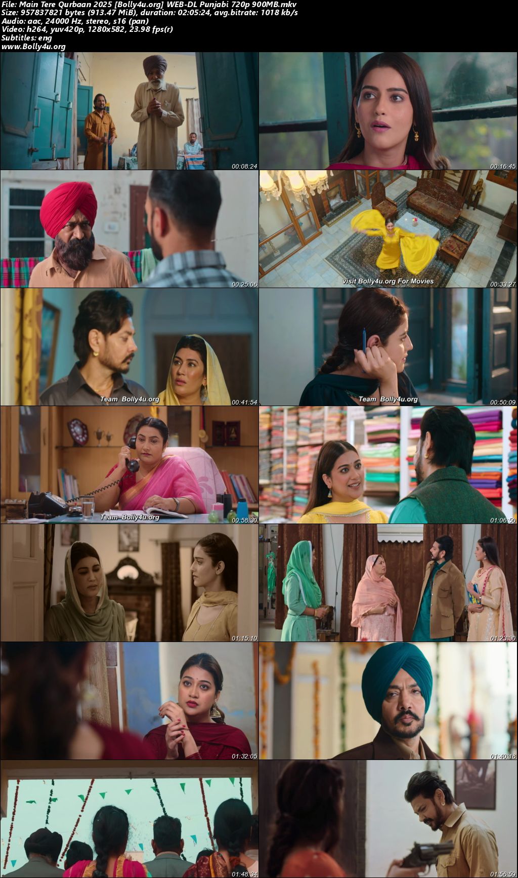 Main Tere Qurbaan 2025 WEB-DL Punjabi Full Movie Download 1080p 720p 480p