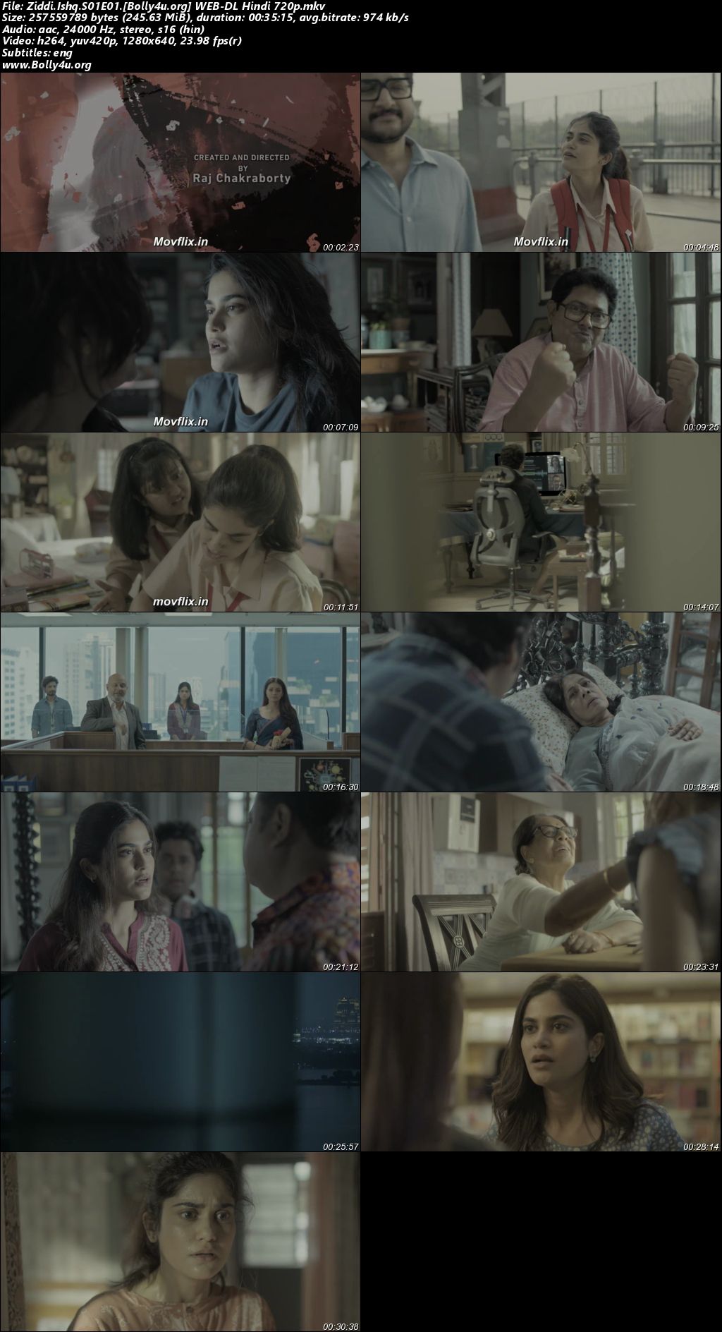 Ziddi Ishq 2025 WEB-DL Hindi S01 Complete Download 720p 480p