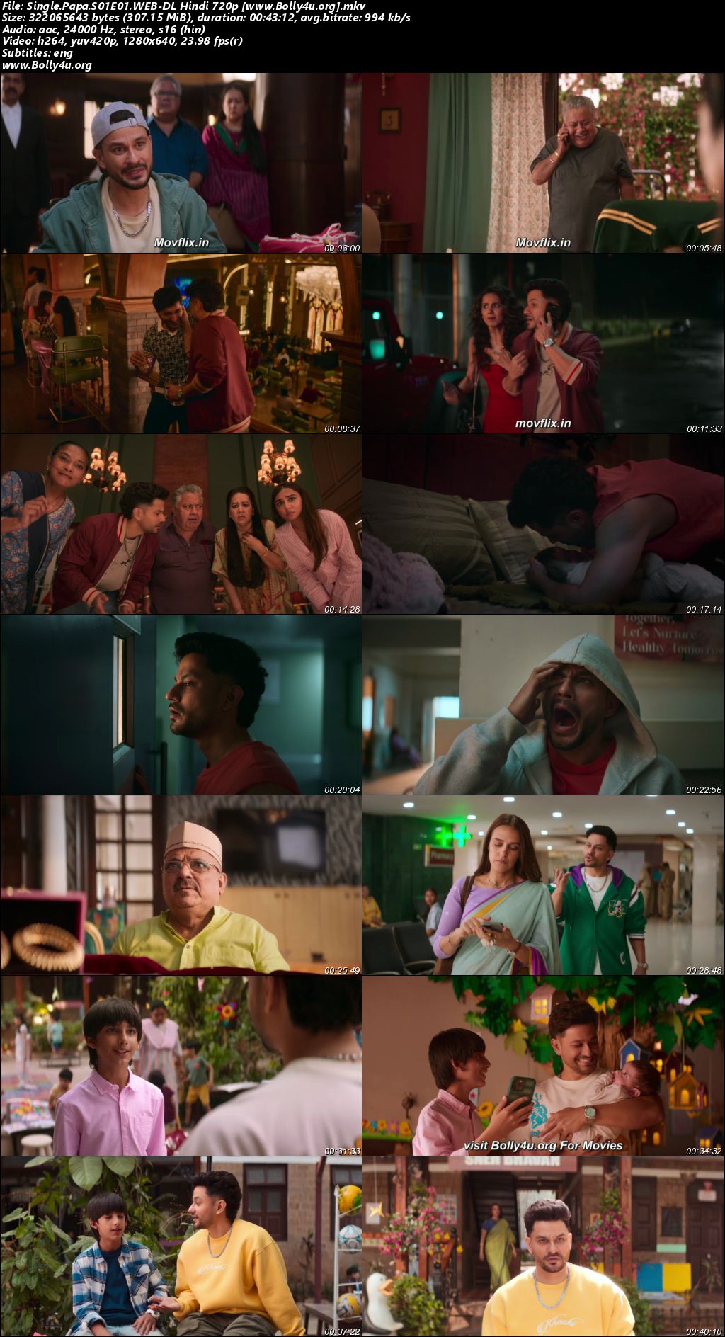 Single Papa 2025 WEB-DL Hindi S01 Complete Download 720p 480p Single Papa 2025 WEB-DL Hindi S01 Complete Download 720p 480p