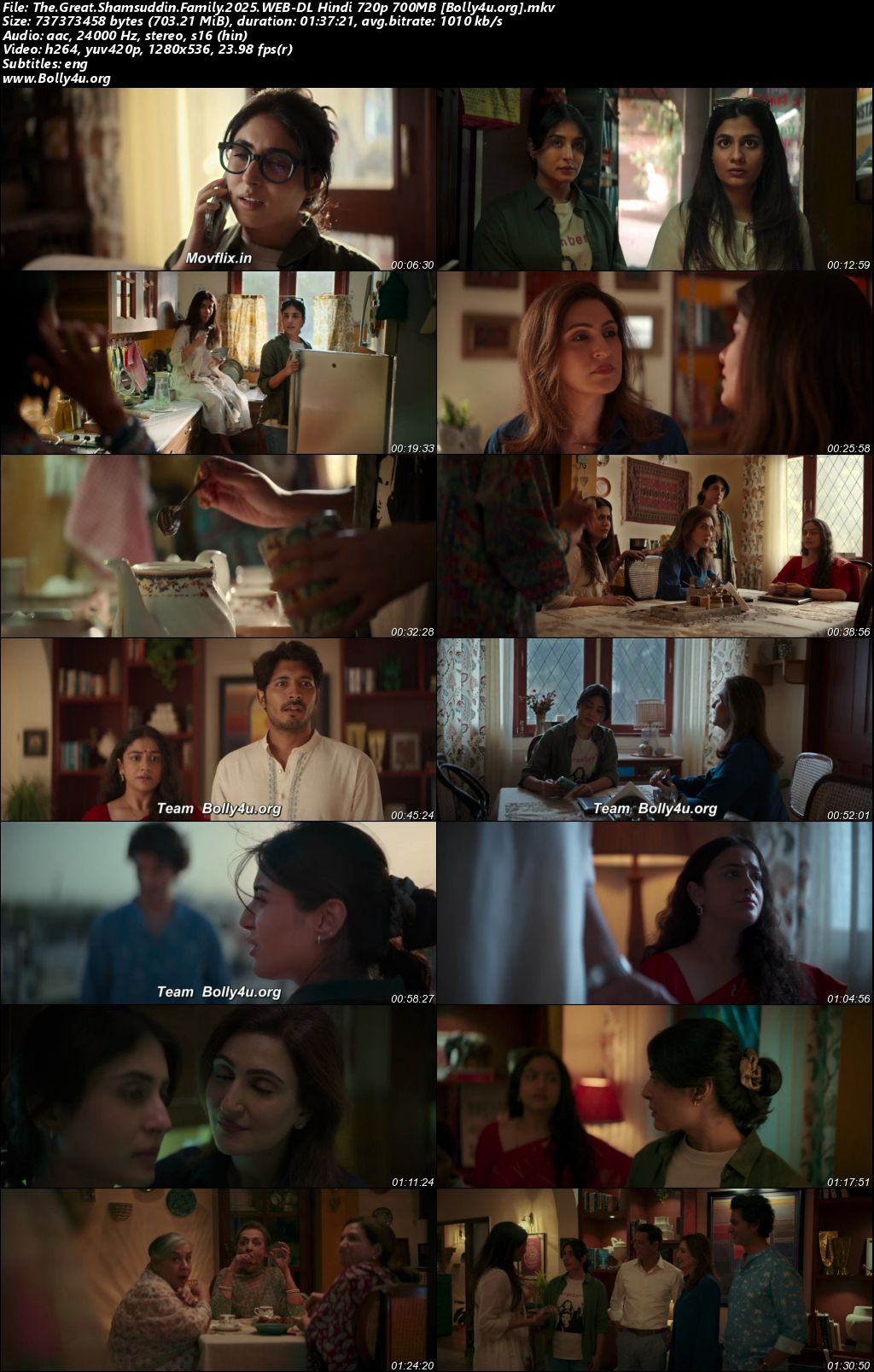 The Great Shamsuddin Family 2025 WEB-DL Hindi Full Movie Download 1080p 720p 480p