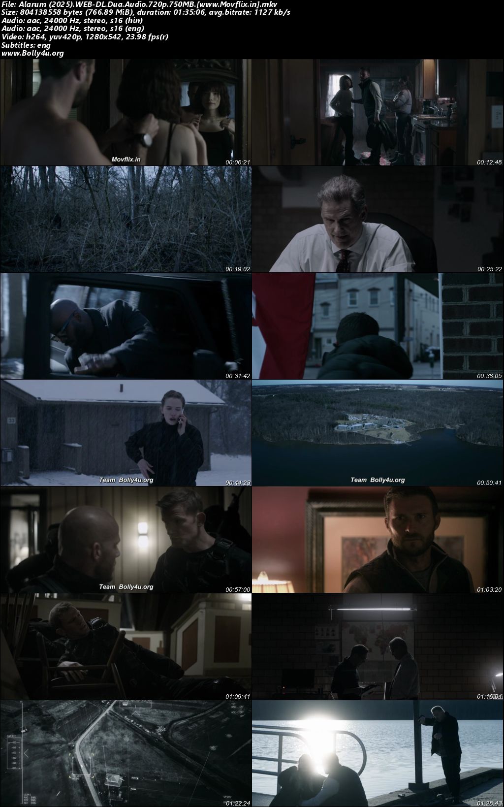 Alarum 2025 WEB-DL Hindi Dual Audio ORG Full Movie Download 1080p 720p 480p