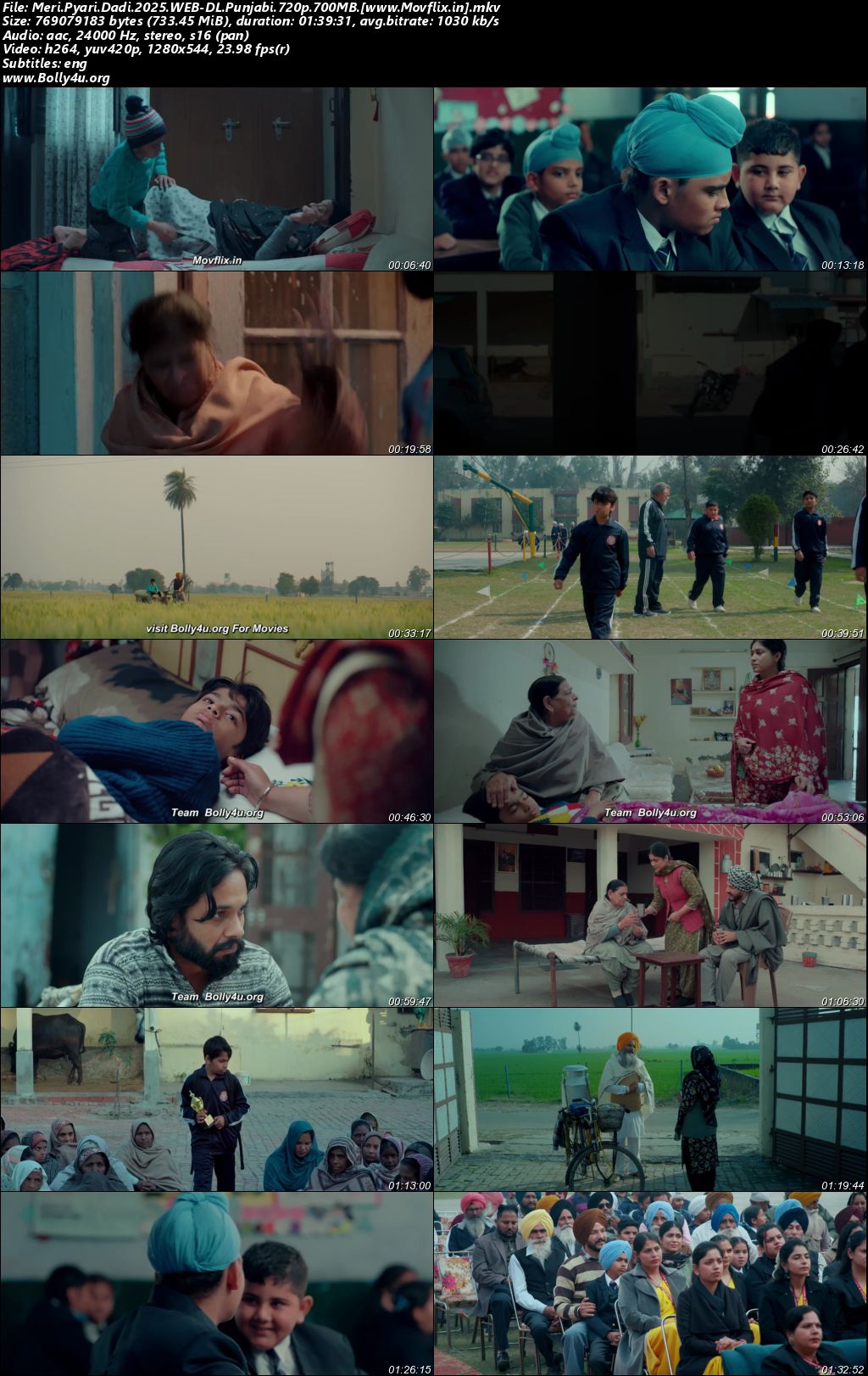 Meri Pyari Dadi 2025 WEB-DL Punjabi Full Movie Download 1080p 720p 480p