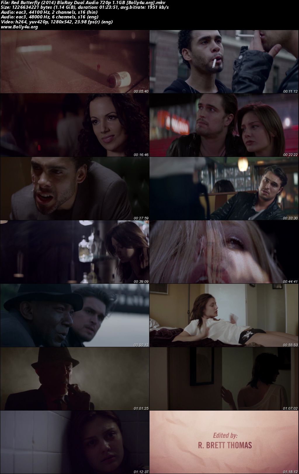 Red Butterfly 2014 BluRay Hindi Dual Audio Full Movie Download 720p 480p