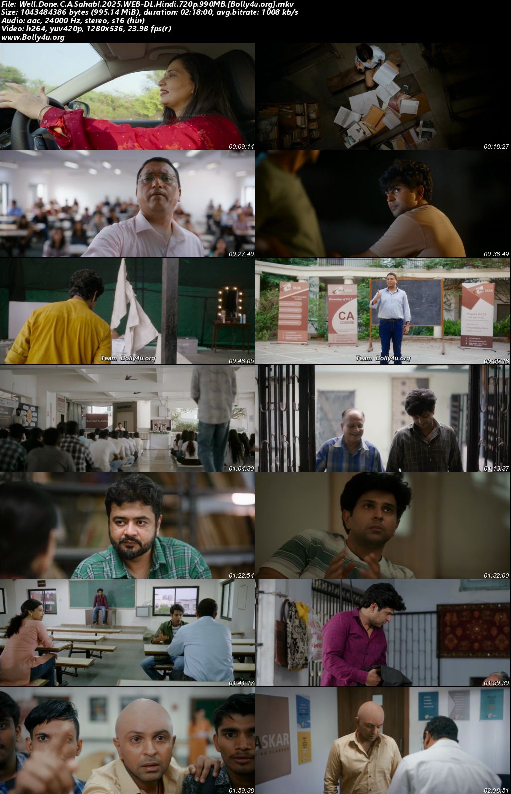 Well Done C.A Sahab 2025 WEB-DL Hindi Full Movie Download 1080p 720p 480p