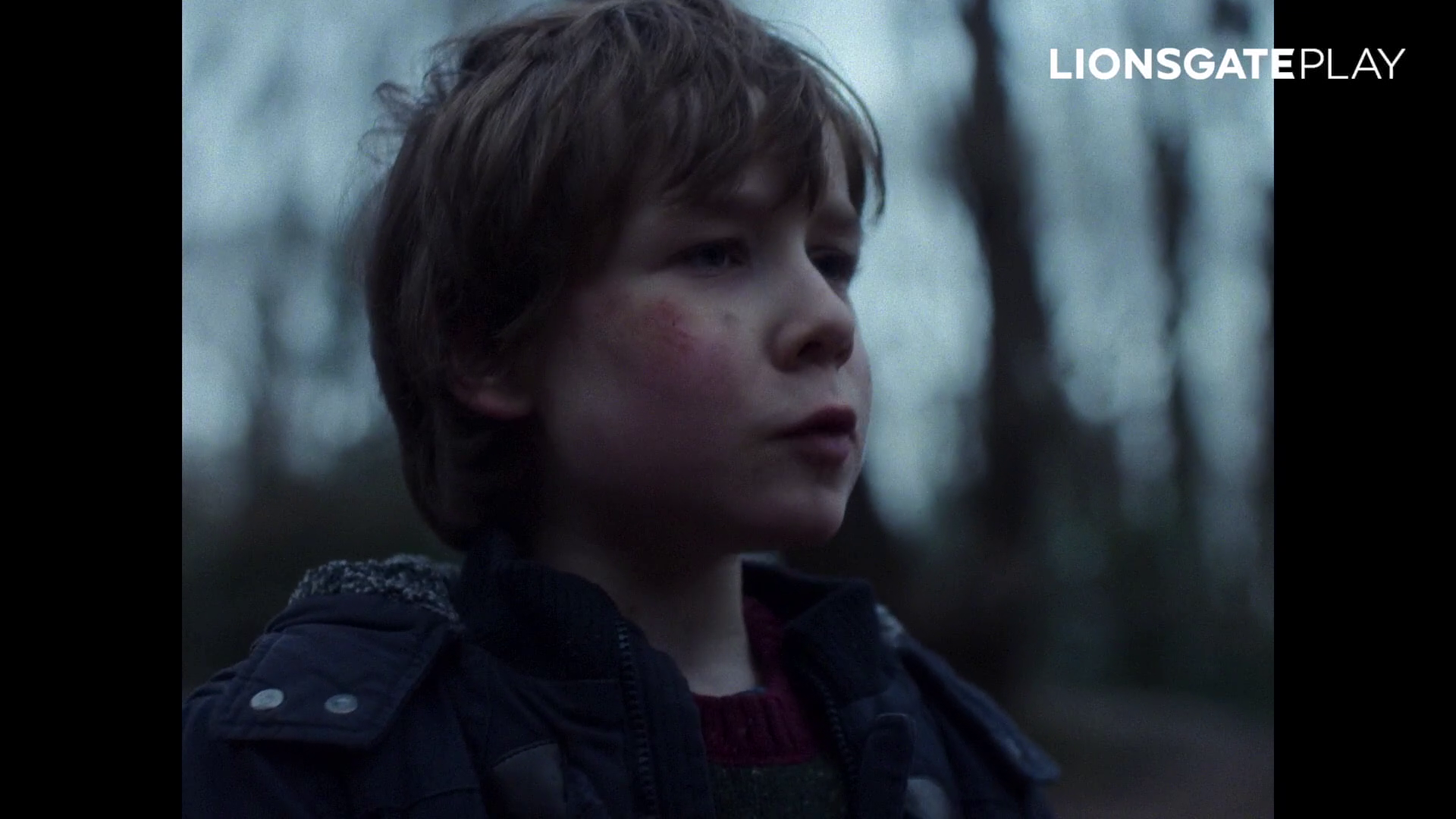 The Thing with Feathers 2025 Dual Audio HDRip || 300Mb || 720p || 1080p