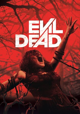 Evil Dead 2013 BluRay Hindi Dual Audio ORG Full Movie Download 1080p 720p 480p