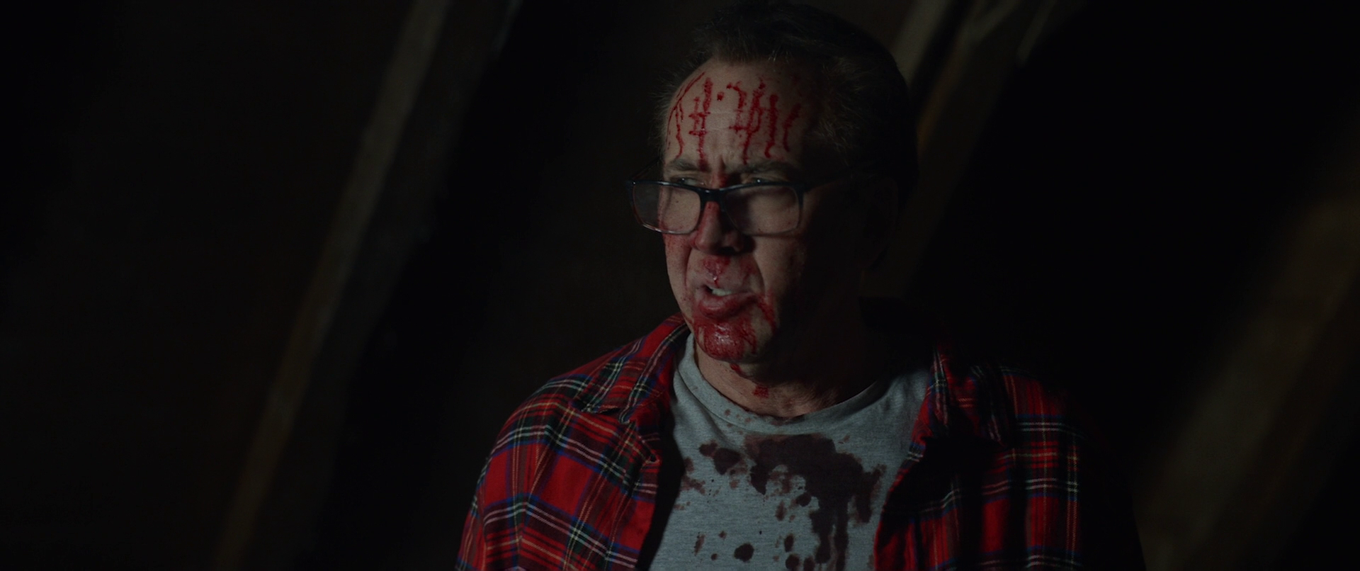 Color Out of Space 2019 Dual Audio BluRay || 300Mb || 720p || 1080p