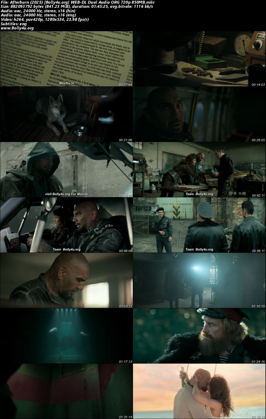 Afterburn 2025 WEB-DL Hindi Dual Audio ORG Full Movie Download 1080p 720p 480p