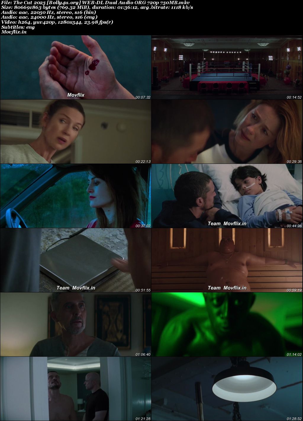 The Cut 2025 WEB-DL Hindi Dual Audio ORG Full Movie Download 1080p 720p 480p
