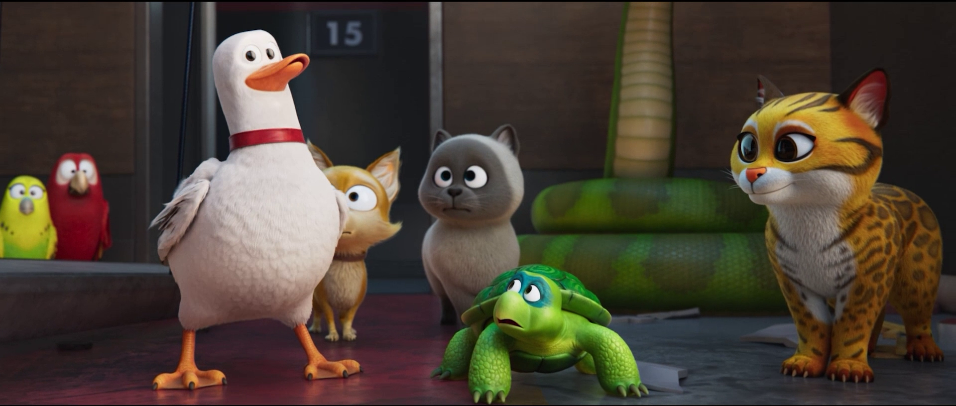 Pets on a Train 2025 Dual Audio HDRip || 300Mb || 720p || 1080p || 2160p