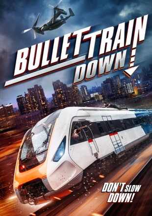 Bullet Train Down