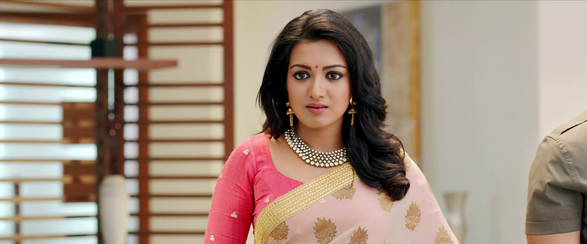 Sarrainodu 2016 Hindi Dubbed Movie Download HDRip || 300Mb || 720p || 1080p