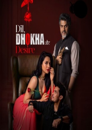Dil Dhokha Aur Desire (Season 1) 